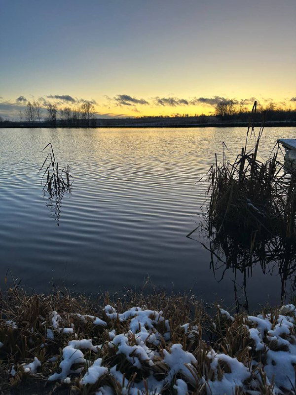 Радикальная скука — практика осознанности