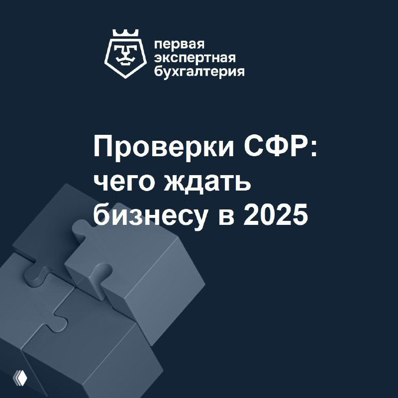 Проверки СФР: чего ждать бизнесу в 2025