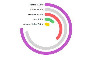 Круговая диаграмма с концентрическими дугами и подписями (Netflix, Other, Youtube и др.), демонстрирующая, как одинаковые по длине дуги кажутся разными при сравнении