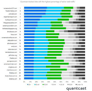 Горизонтальная столбчатая диаграмма с разноцветными секторами и подписями возрастных групп, где выделяется категория 45+ на фоне серых элементов.