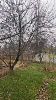 Пустая каркасная конструкция для петуний на участке в позднюю осень — видна опора, газон и забор, исходный вид до посадки ампельных сортов.