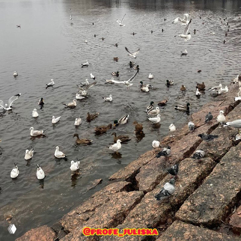 Подарок, который не пылится на полке