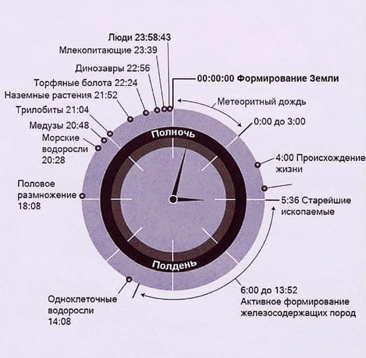 Круговая инфографика в виде часов, сжимающая 4,54 млрд лет истории Земли в 24 часа с отметками появления жизни, динозавров и людей.
