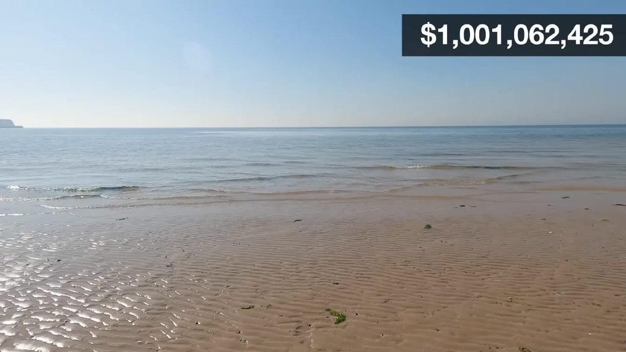 Пляжный пейзаж с морем и горизонтом; в правом верхнем углу наложен счётчик, показывающий сумму около $1,001,062,425.