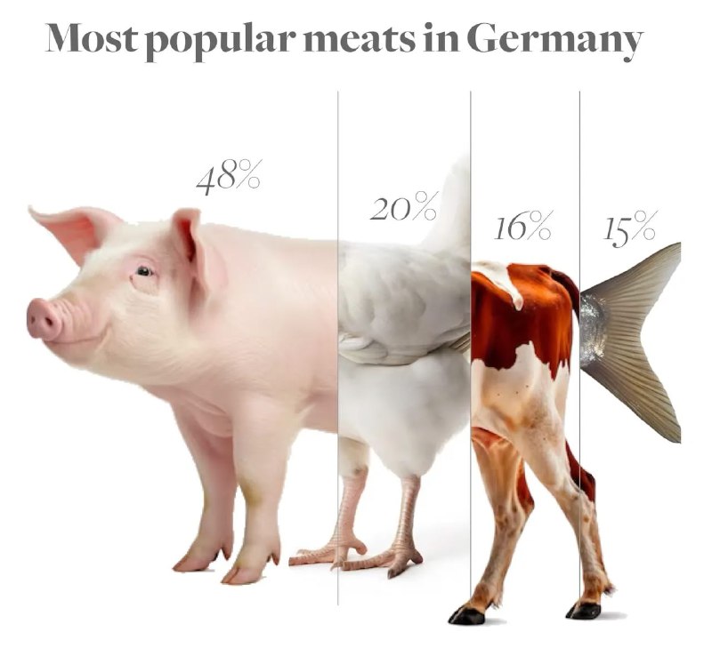 Коллаж: композиция животных (свинья, птица, корова, рыба) с заголовком 'Most popular meats in Germany' и указанием процентных долей.