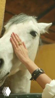 Рука в кольце гладит белую лошадь в конюшне, акцент на украшении и мягком взаимодействии человека с животным в промокадре