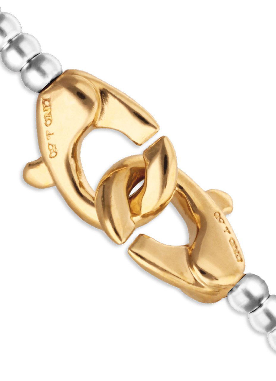 Макросъёмка позолоченного соединительного карабина серии Ser Inseparable: два переплетённых элемента, отпечаток бренда на поверхности.