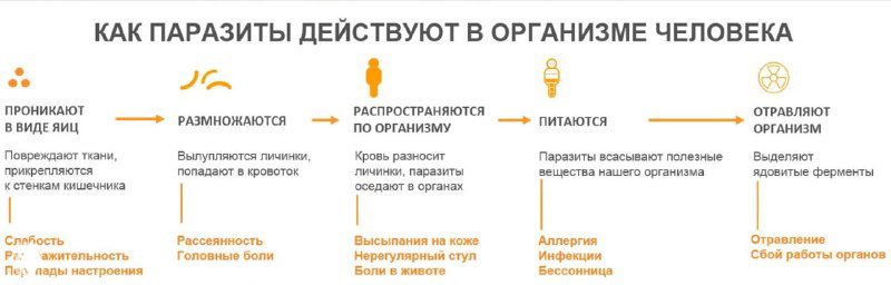 Паразитоз: симптомы, причины и лечение