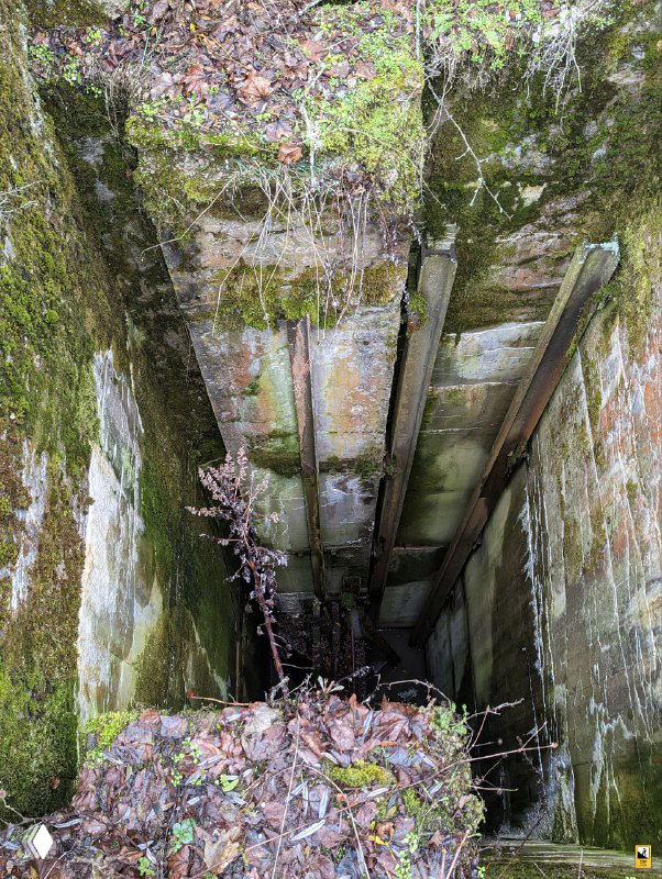 Узкий глубокий вертикальный колодец шлюза, заполненный листьями и мусором; стены покрыты мхом и следами влаги внизу.
