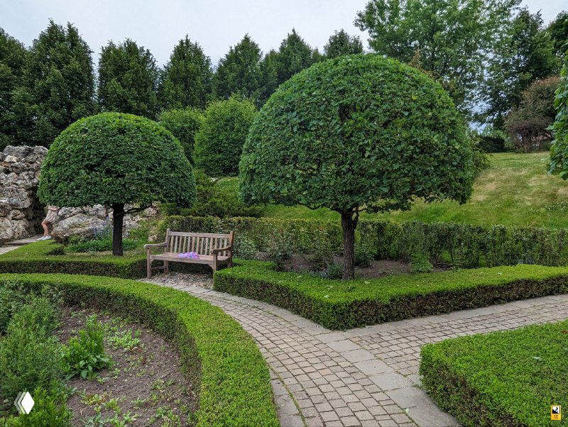 Изящные стриженные деревья и скамья у дорожки в партерном саду Ореховно, сочетание геометрии и зелени в частном европейском проекте.