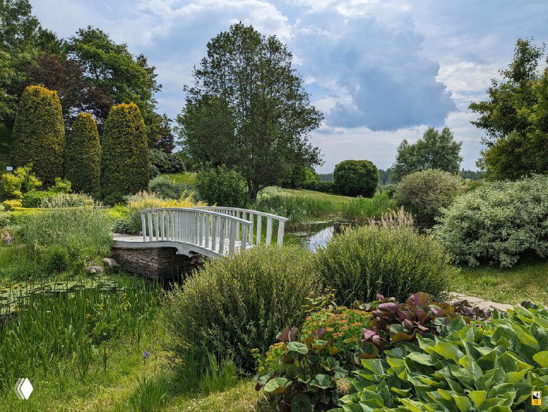 Маленький декоративный мост через пруд в ландшафте усадьбы Ореховно, окружённый густой растительностью и цветущими посадками.