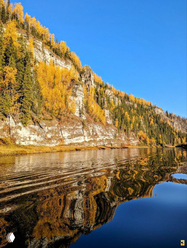 Вертикальный кадр Усьвы: крутой обрыв с лесом в жёлтых осенних тонах и ровное зеркальное отражение в реке под ясным небом.