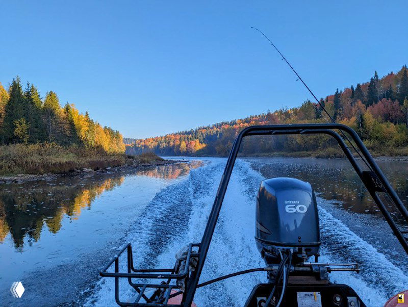 Кадр с кормы лодки: мотор 60 л.с., волна за кормой и широкий речной коридор между лесистыми берегами в осенней палитре.
