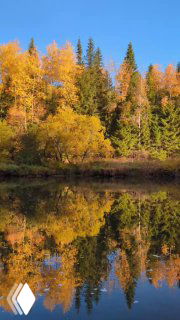 Осенний берег Усьвы с плотной растительностью и яркими лиственными кронами, отражающимися в тёмной и спокойной воде реки.