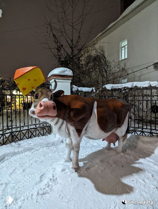 Декоративная скульптура коровы на улице в снегу — городская инсталляция, связанная с молочной и сырной темой региона.