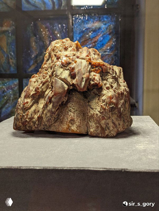 Крупный план необработанного куска янтаря на подставке в витрине музея; видно зернистую текстуру и тёплые оттенки.