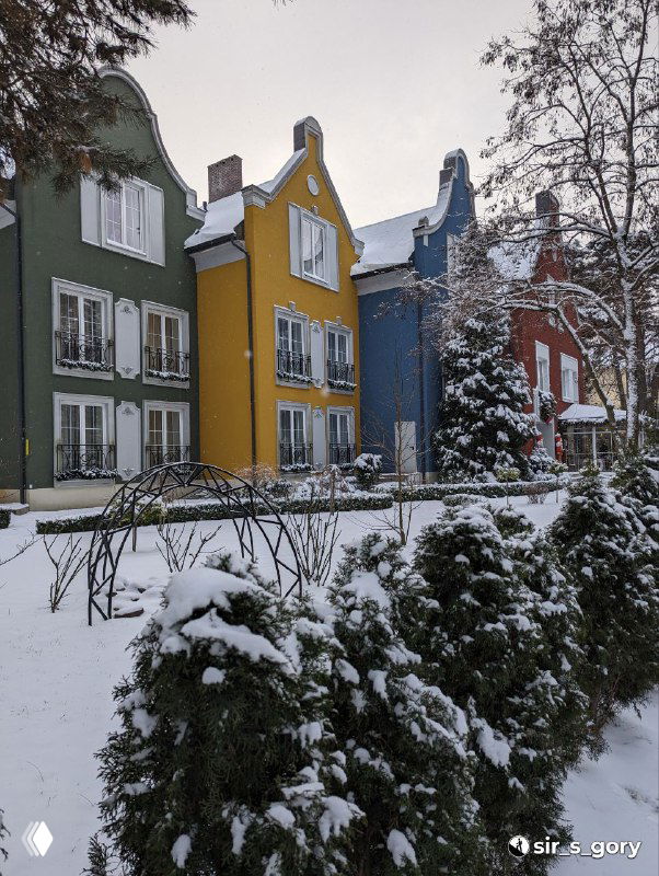 Заснеженный городской пейзаж Калининграда: ряд ярких разноцветных домов, кусты и деревья в снегу, зимняя атмосфера прогулки по городу.
