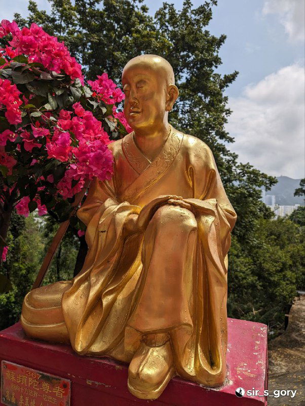 Ближний план одной позолоченной статуи Будды рядом с яркими цветущими бугенвиллеями в садовой зоне монастырского комплекса.