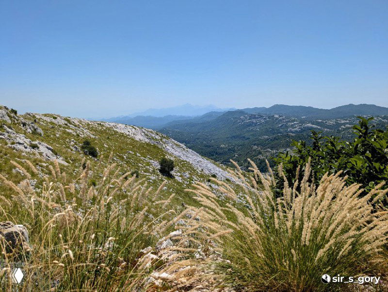 Травянистый склон с высокими злаковыми растениями на переднем плане и удалёнными горами, создающими глубокую перспективу вида.