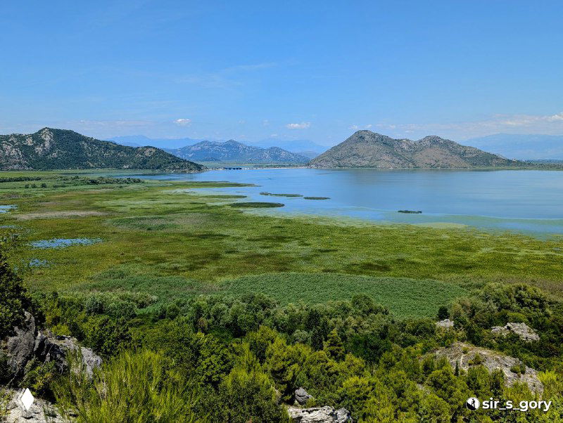 Вид на болотистые приозёрные заросли и открытое голубое зеркало Скадарского озера, горы на горизонте в ясный день.