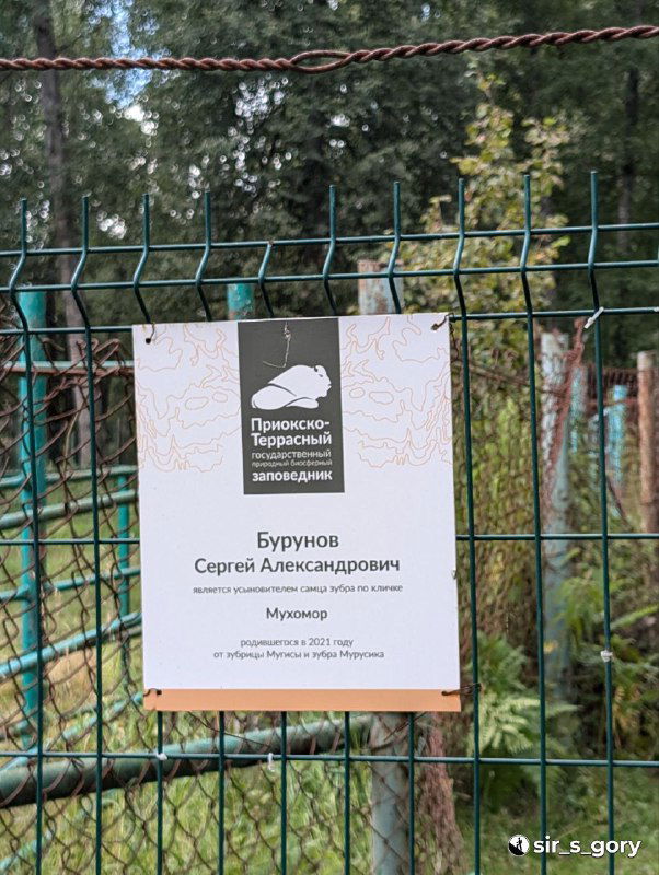 Табличка на ограде с информацией об усыновлении: указано имя усыновителя и имя питомца «Мухомор», оформление в стиле питомника.