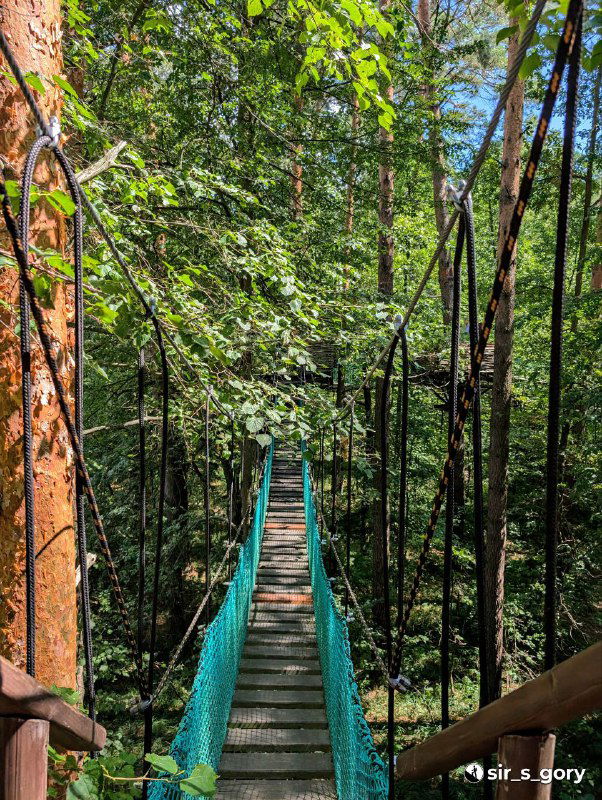 Подвесной мост экотропы «Сквозь листву»: деревянные настилы и сетчатые перила между деревьями, вид вдоль тропы вверх по ходу маршрута.
