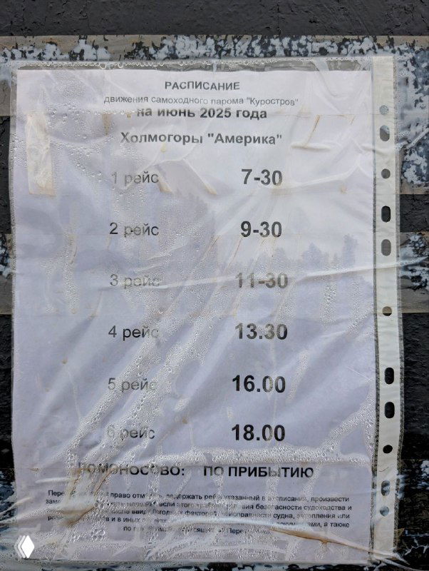 Фотография бумажного расписания летней переправы с перечислением рейсов парома «Америка» между Холмогорами и Куростровом, прикреплённого в прозрачной папке.