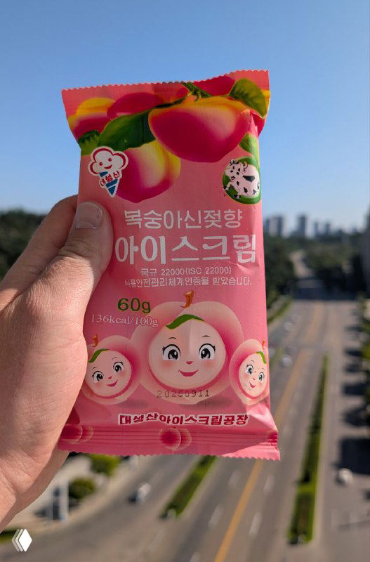 Пакет мороженого с корейской упаковкой в руке на фоне улицы и дорог — пример уличного ассортимента и простоты покупок в КНДР