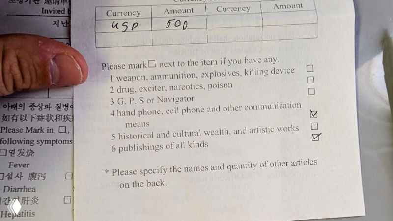 Фрагмент таможенной декларации с перечнем запрещённых к ввозу веществ и полями для заполнения — демонстрация правил декларирования при въезде в страну