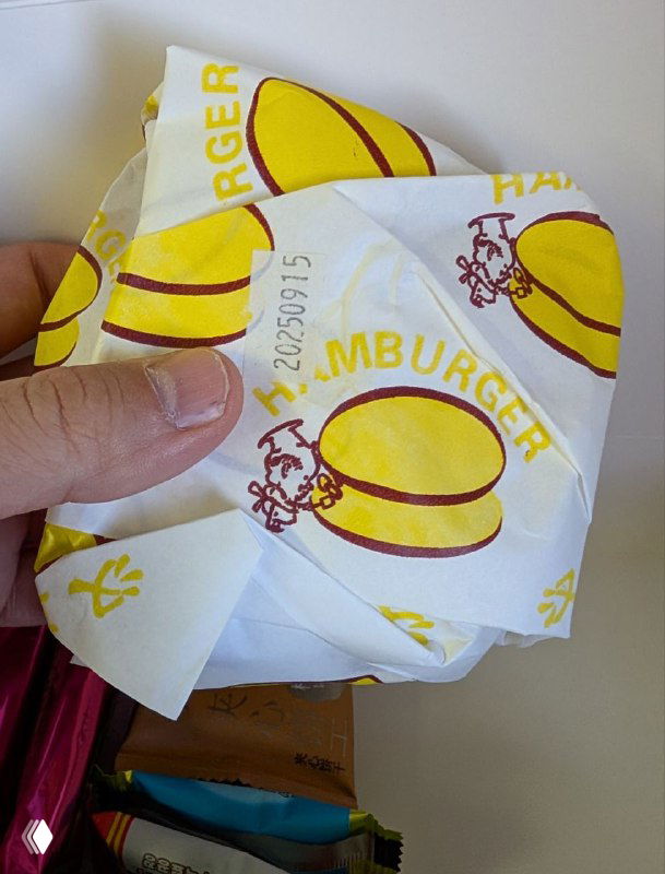 Рука держит бумажную обёртку с рисунком бургера и крупной надписью «HAMBURGER», на фоне виден бортовой поднос в самолёте — иллюстрация отношения к англицизмам в КНДР.