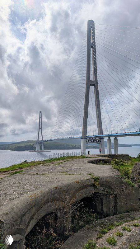 Дальний план Русского вантового моста: тонкие тросы и высокий пилон на фоне облачного неба, береговая линия и укрепления на переднем плане.