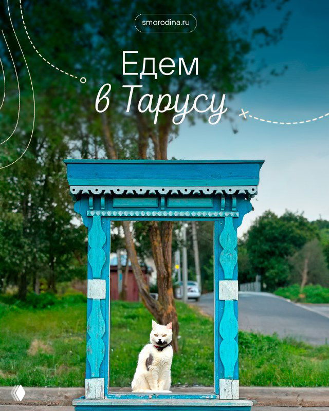 Голубая расписная калитка у дороги и белая собака на первом плане на фоне зелёных деревьев и улицы — атмосферный кадр Тарусы.