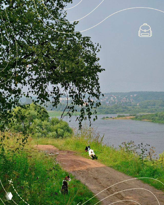 Тропинка вдоль реки с людьми и собакой, береговая зелень и плавный изгиб воды — спокойный пейзаж для прогулок в Тарусе.