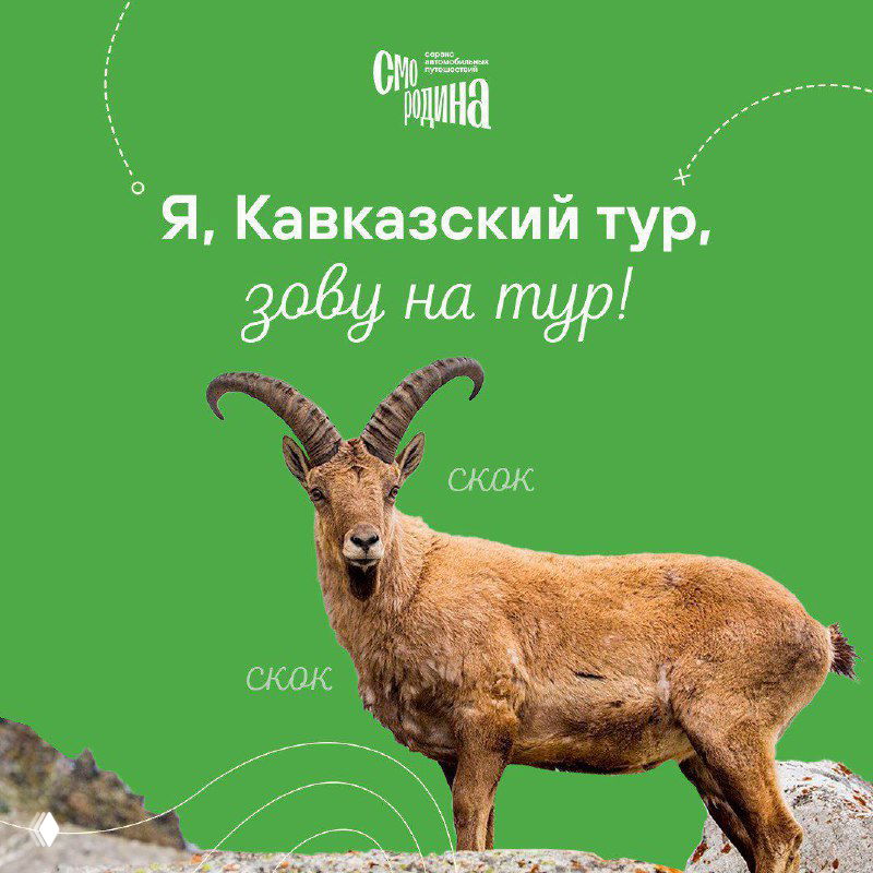 Горный козёл на зелёном фоне с надписью о Кавказском туре — иллюстрация автопутешествий по Кабардино‑Балкарии.
