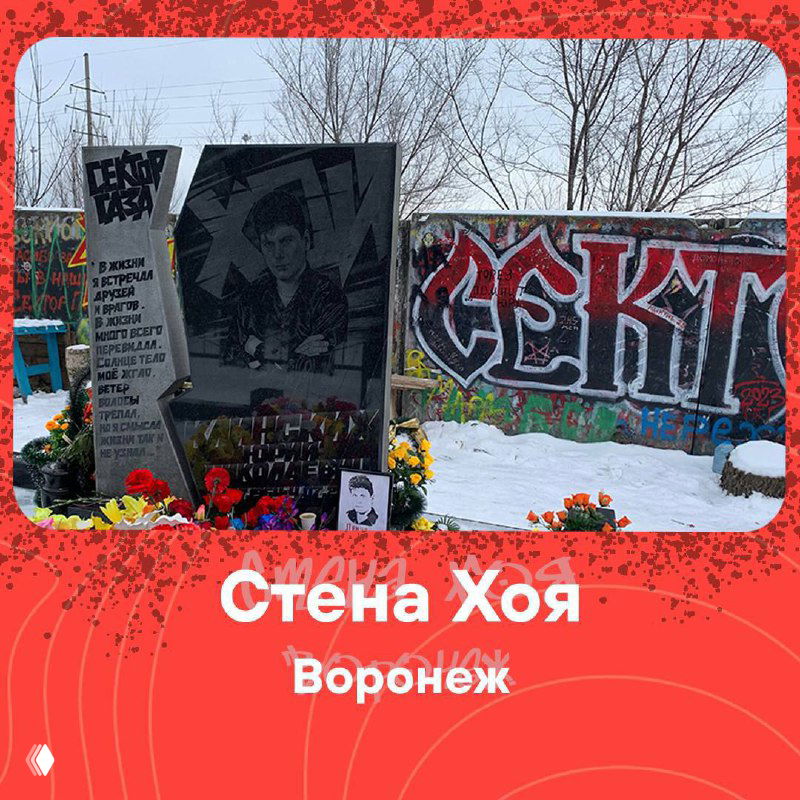 Мемориальная «Стена Хоя» в Воронеже: портрет Юрия Хоя на стене памяти, цветы у подножия и граффити вокруг.
