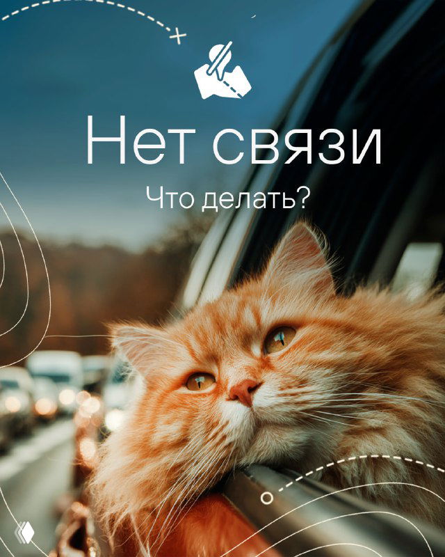 Оранжевый кот в салоне автомобиля с видом через окно — рекламная картинка с надписью «Нет связи. Что делать?» в дорожном контексте, символический образ.