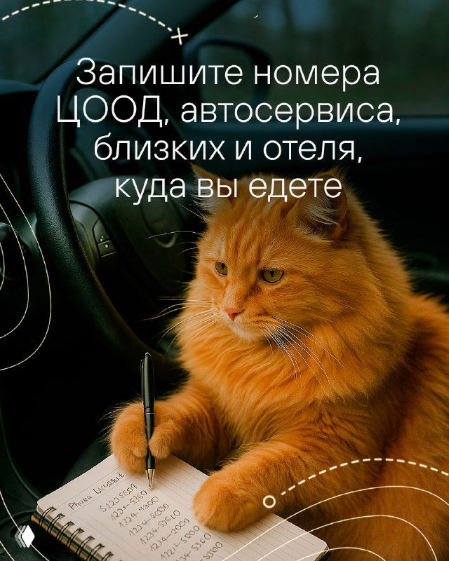 Кот за рулём пишет в блокноте на приборной панели — визуальное напоминание записывать номера эвакуаторов, автосервиса и контакты близких перед поездкой.