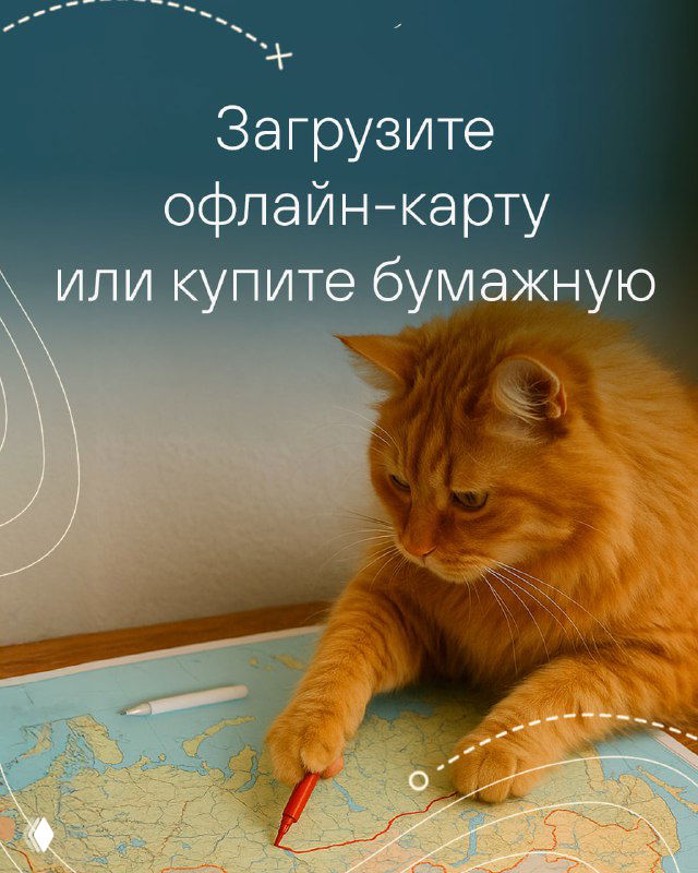 Кот с картой и карандашом на столе отмечает маршрут — изображение советует загрузить офлайн‑карты или взять бумажную карту для ориентирования без сети.