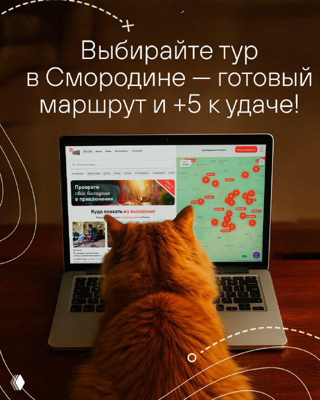 Кот смотрит на экран ноутбука с картой и метками маршрутов сервиса «Смородина» — изображение подчёркивает готовые туры и маршруты на сайте.