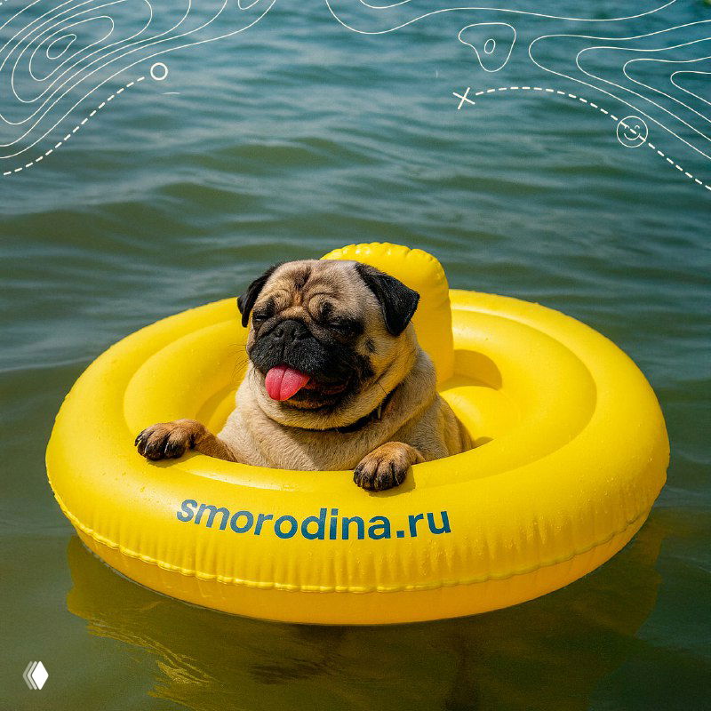 Мопс в жёлтом надувном круге с надписью smorodina.ru, плывущий по воде у озера; рекреационный летний кадр с тёплой атмосферой отдыха.