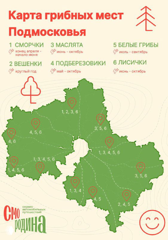 Схематичная карта Подмосковья с отмеченными грибными полянами и маркерами видов (сморчки, подберезовики), сопровождаемая легендой для туристов.