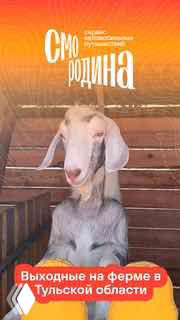 Крупный план козы в деревянном загоне на ферме «Лукино», животное смотрит в камеру, виден оранжевый баннер и интерьер фермы