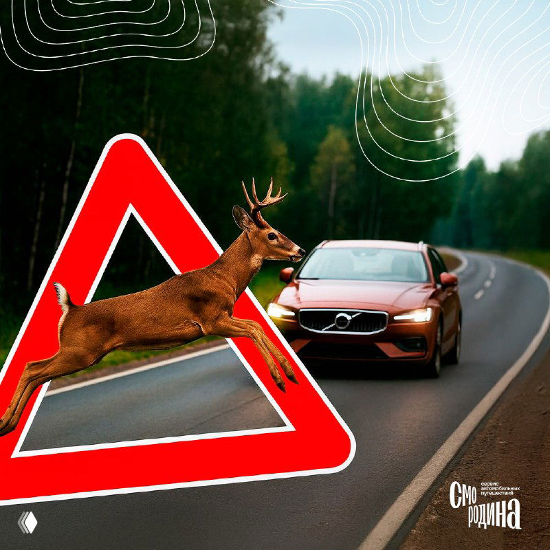 Иллюстрация: автомобиль на лесной дороге и прыгающий олень на фоне предупреждающего знака «Дикие животные», предупреждение о риске на дороге