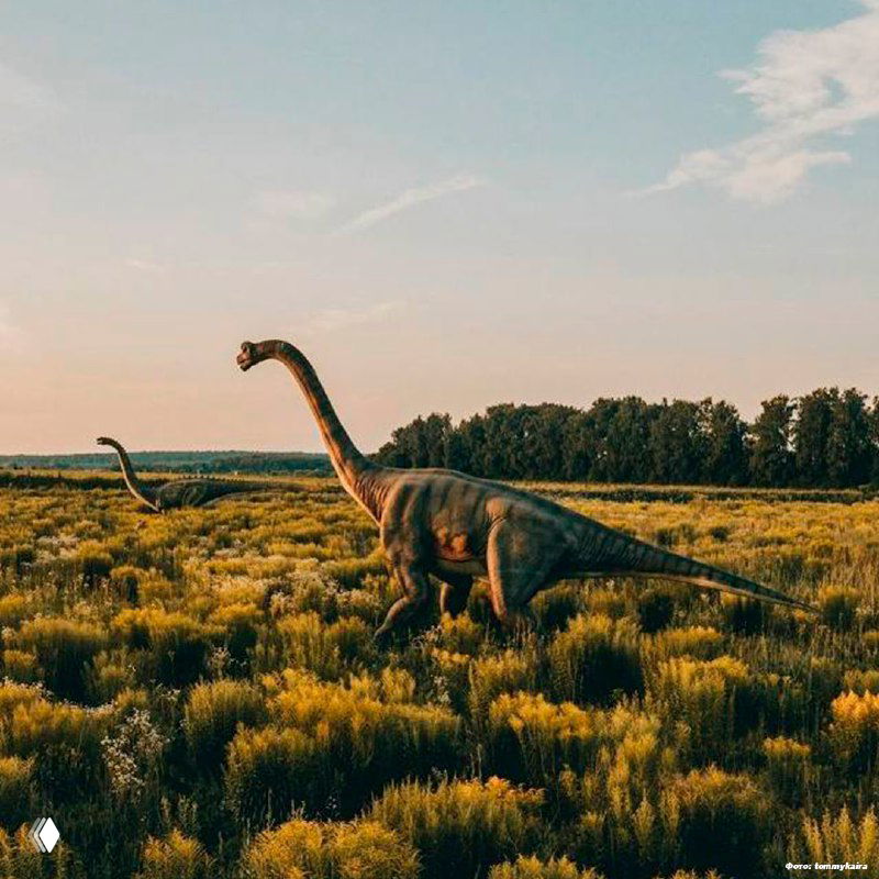 Длинношеее туловище и хвост большой модели динозавра среди сухой травы и низкой растительности; снимок передаёт атмосферу заброшенного парка в Тульской области.