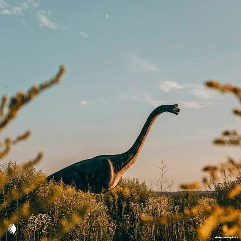 Динозавр среди полевых зарослей и цветущей травы, кадр сделан с низкой точки, виден дальний лесной пояс и тёплый вечерний свет, создающий кинематографическую атмосферу.