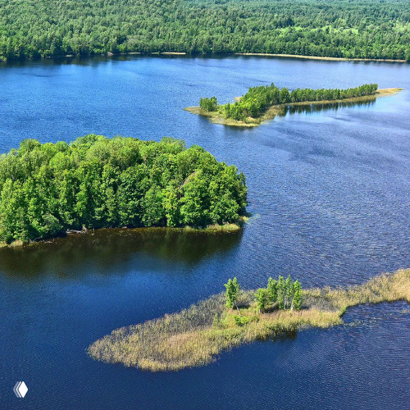 Дрпеанированный вид речного озера с островками и полосами камыша, мелководные отмели, окружённые зелёными лесами и береговыми зарослями.