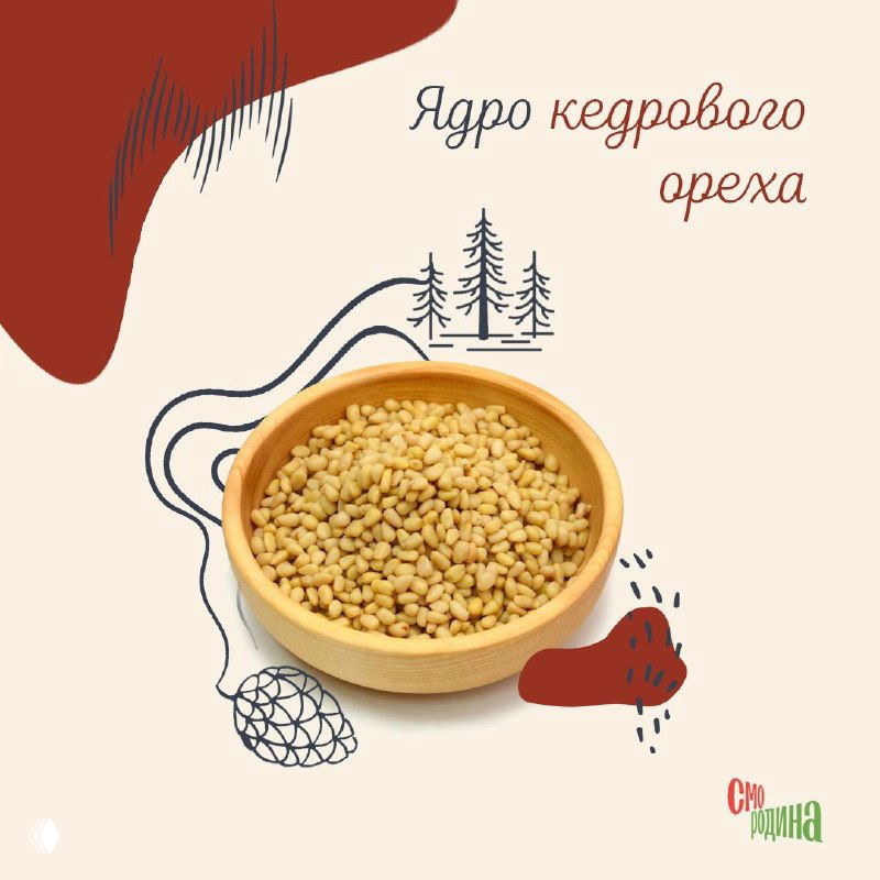 Ядро кедрового ореха в деревянной пиале — продукт, традиционно привозимый из Сибири, снят крупным планом на тематическом фоне поста.
