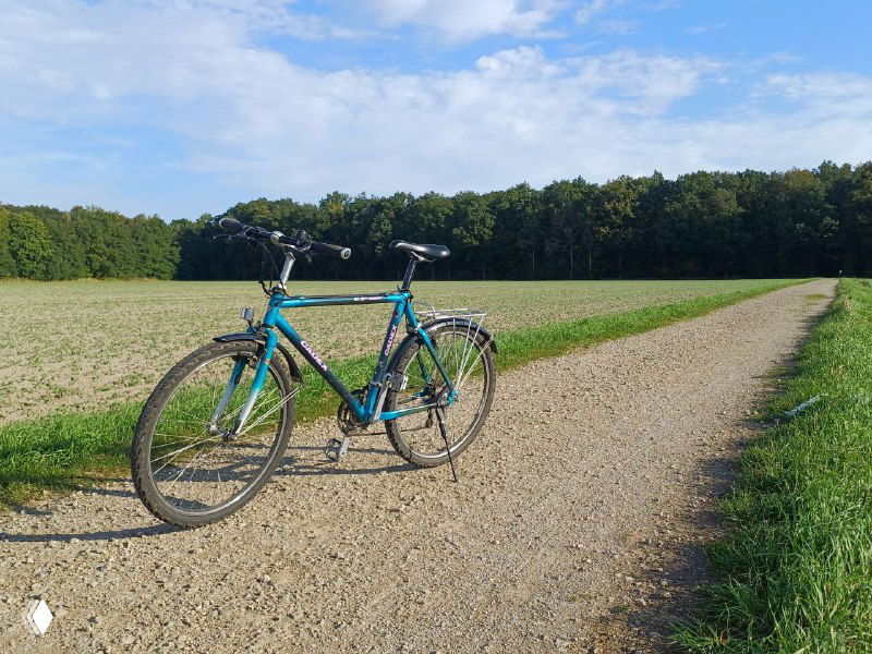 Велосипед на просёлочной гравийной тропе между полем и лесом: голубой велосипед на фоне зелёных зарослей и ясного неба, тихая сельская дорога.