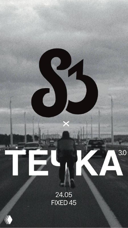 Постер гонки: участник фиксеров едет по дороге в облачную погоду, вид сзади, дорожная разметка и надписи мероприятия на изображении.