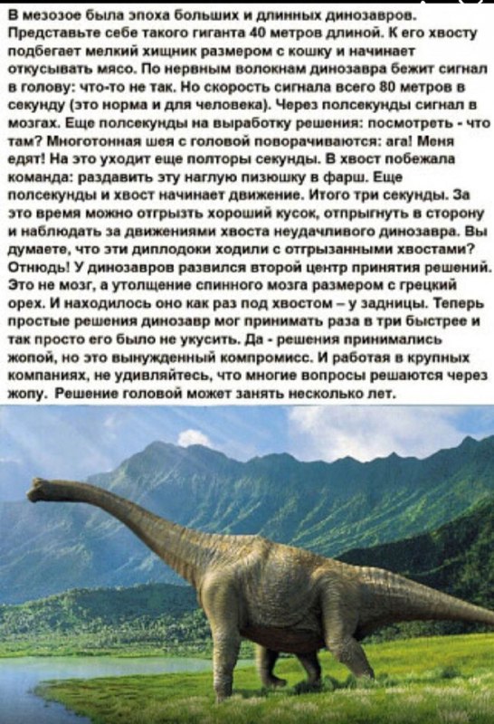 Скриншот изображения с текстовой метафорой про динозавров и «длинный хвост», иллюстрирующий дублирование систем в энтерпрайзе